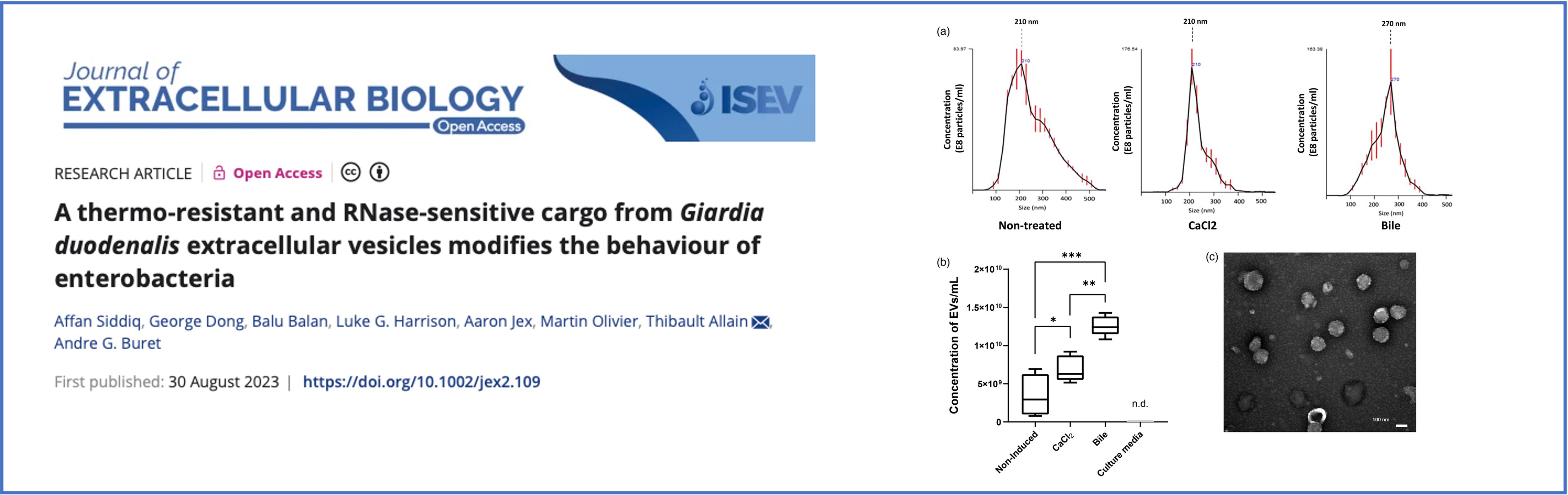 ISEV Journals Isev journals